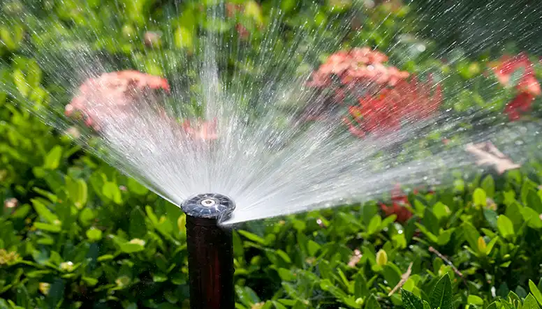 ronsmart.net irrigation