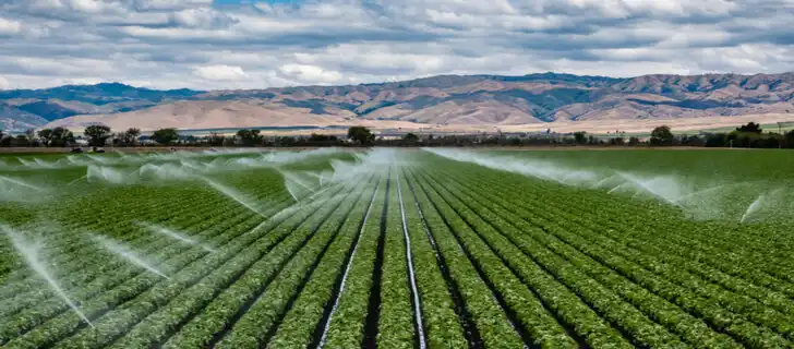ronsmart.net irrigation