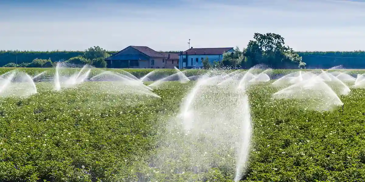 ronsmart.net irrigation